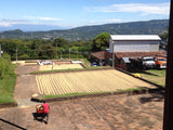 Costa Rica La Amistad