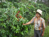 Costa Rica La Amistad
