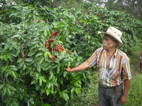 Costa Rica La Amistad