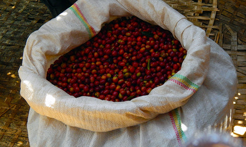 Ethiopia Guji Bukusaissa  G1