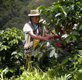 Colombia Cauca Perla De Inza